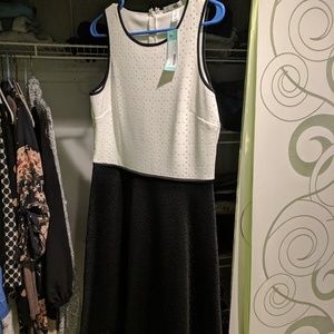 Wisp dress from Stitch Fix NWT Size 12